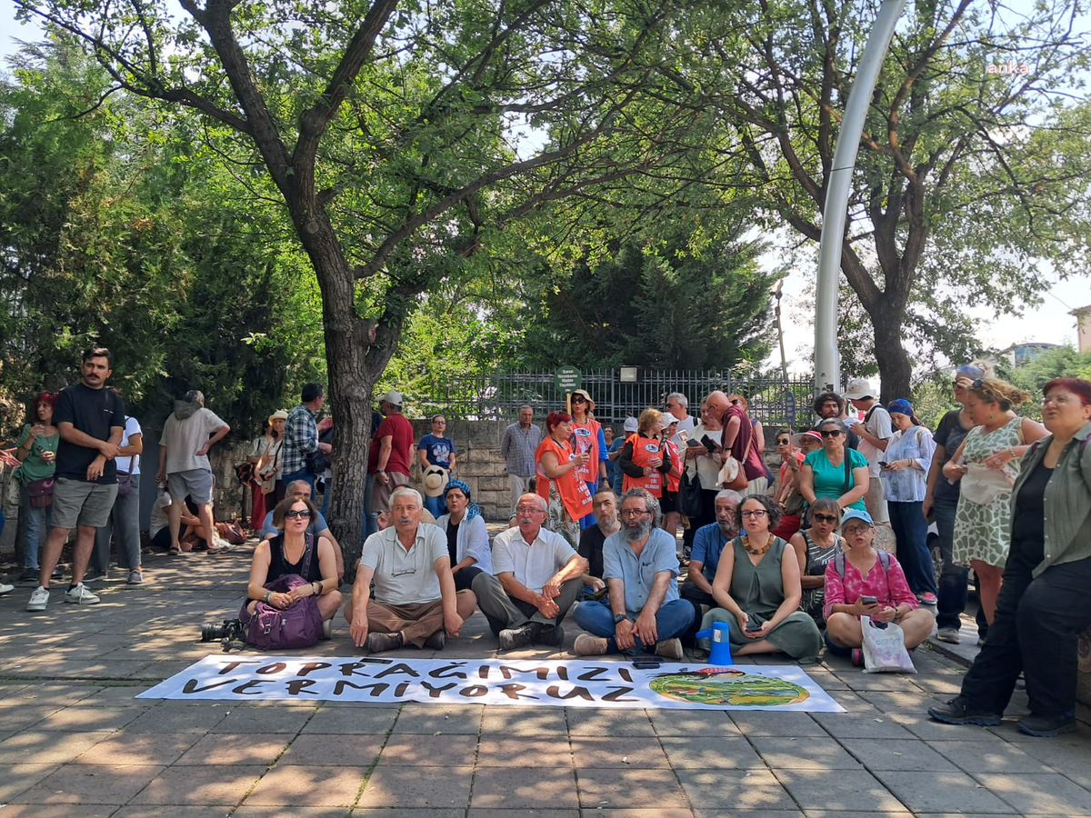 Zeytinliklerin maden faaliyetine açılmasına yol açacak kanun teklifi Meclis'ten geçti
